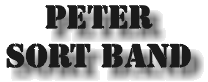 peter-sort-band-rockmusik-booking